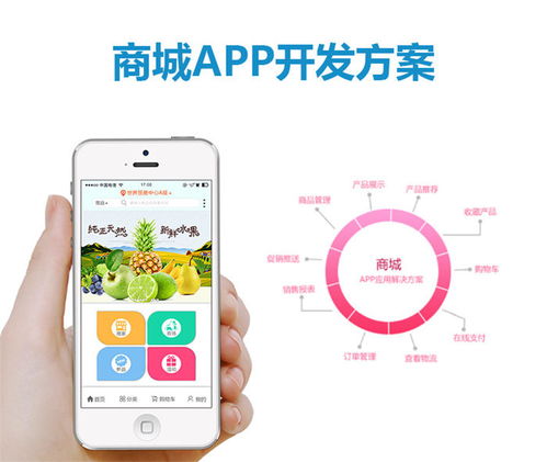 杰里顧客至上 東莞Vue App開(kāi)發(fā)與全方位技術(shù)服務(wù)