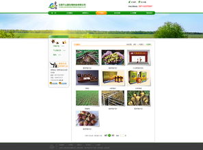 奧遠(yuǎn)科技 云南領(lǐng)先的網(wǎng)站建設(shè)與App開(kāi)發(fā)技術(shù)服務(wù)商